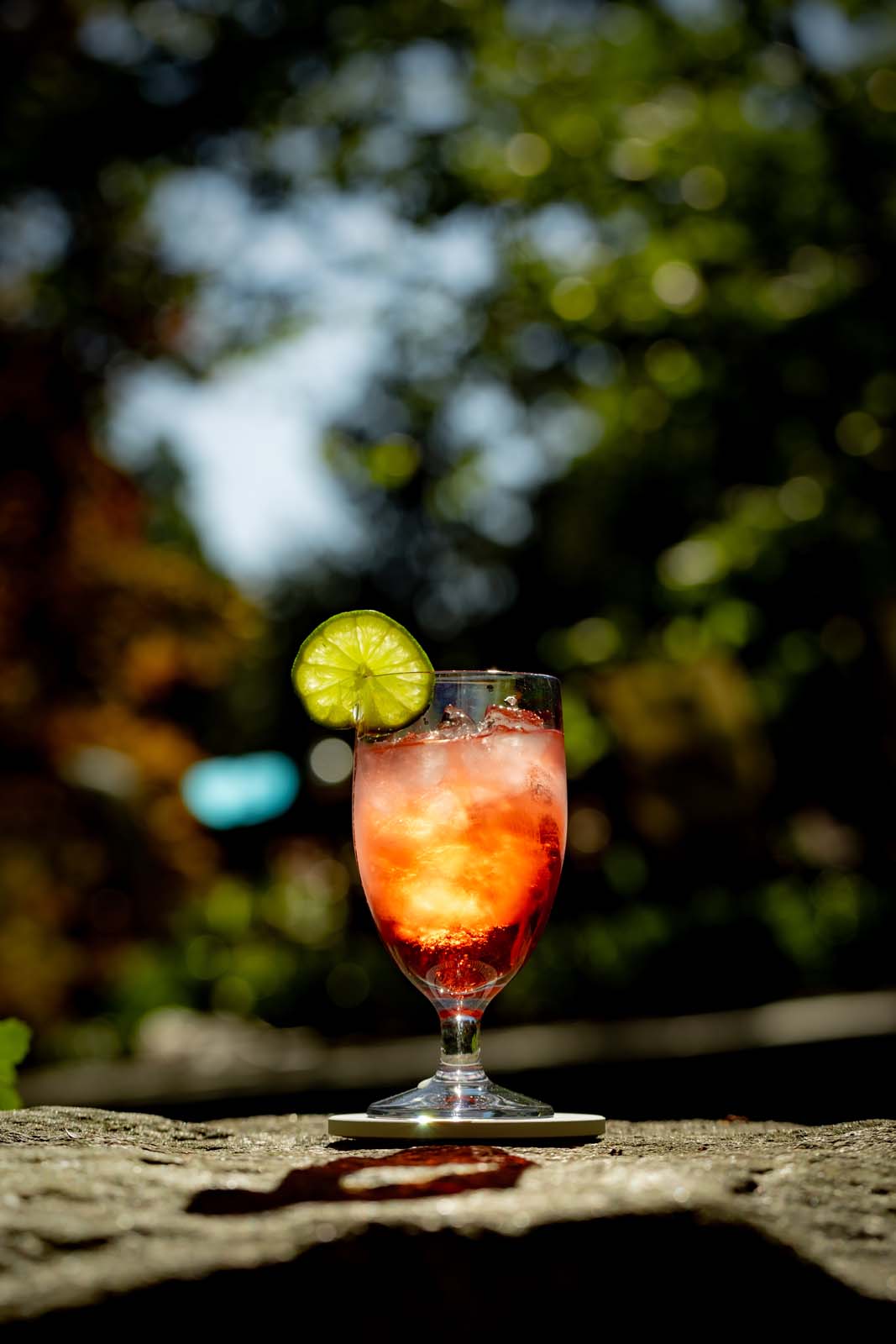 Revel 12 oz. All Purpose