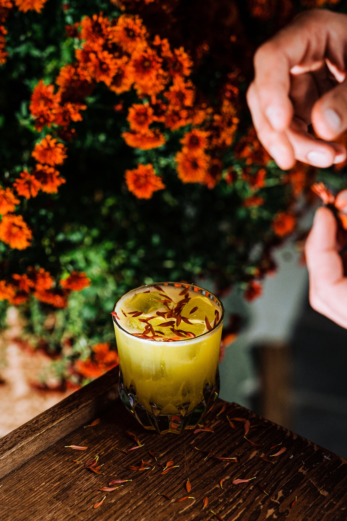 Montage 10 oz. Old Fashioned