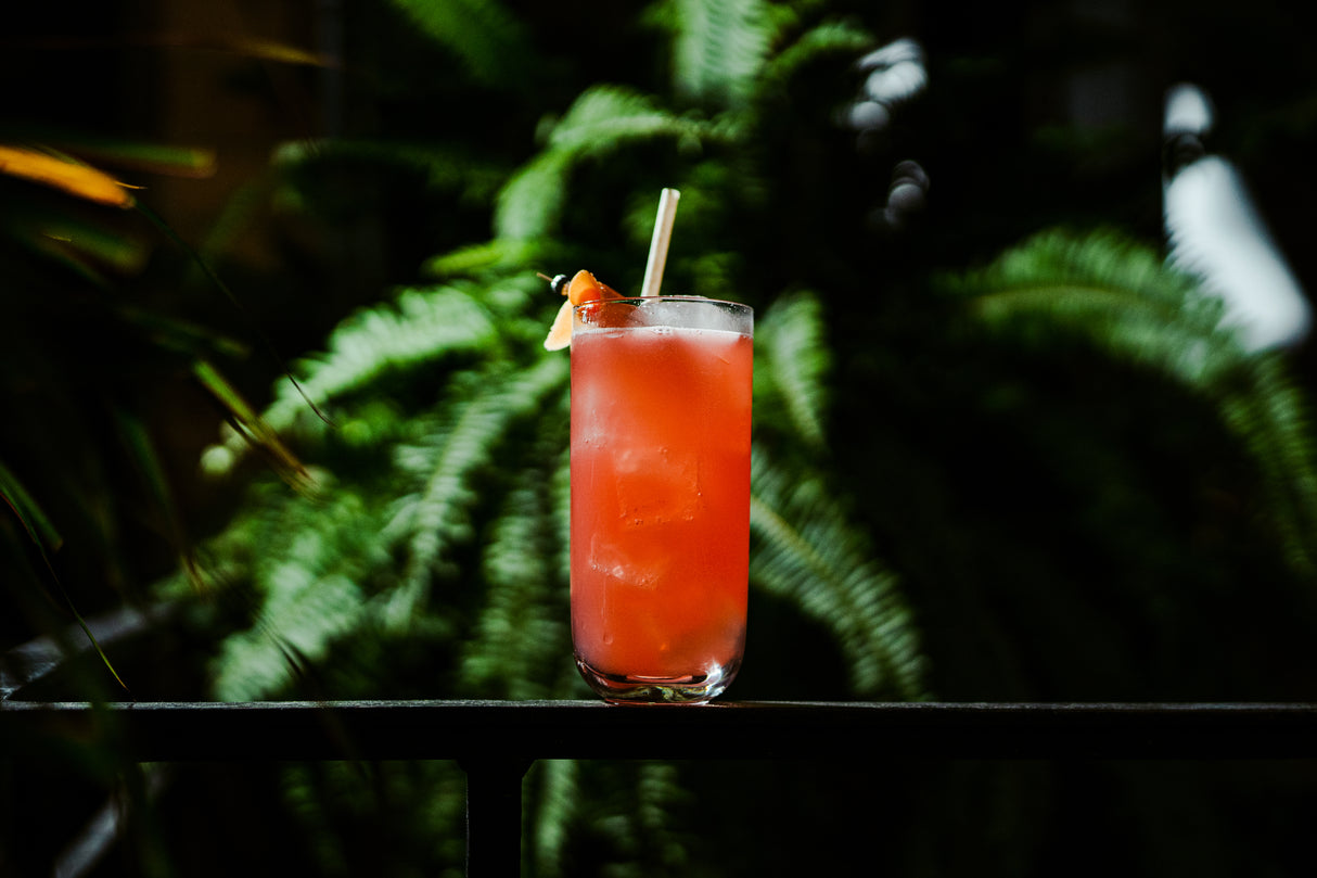 Bauhaus 12.75 oz. Hi Ball