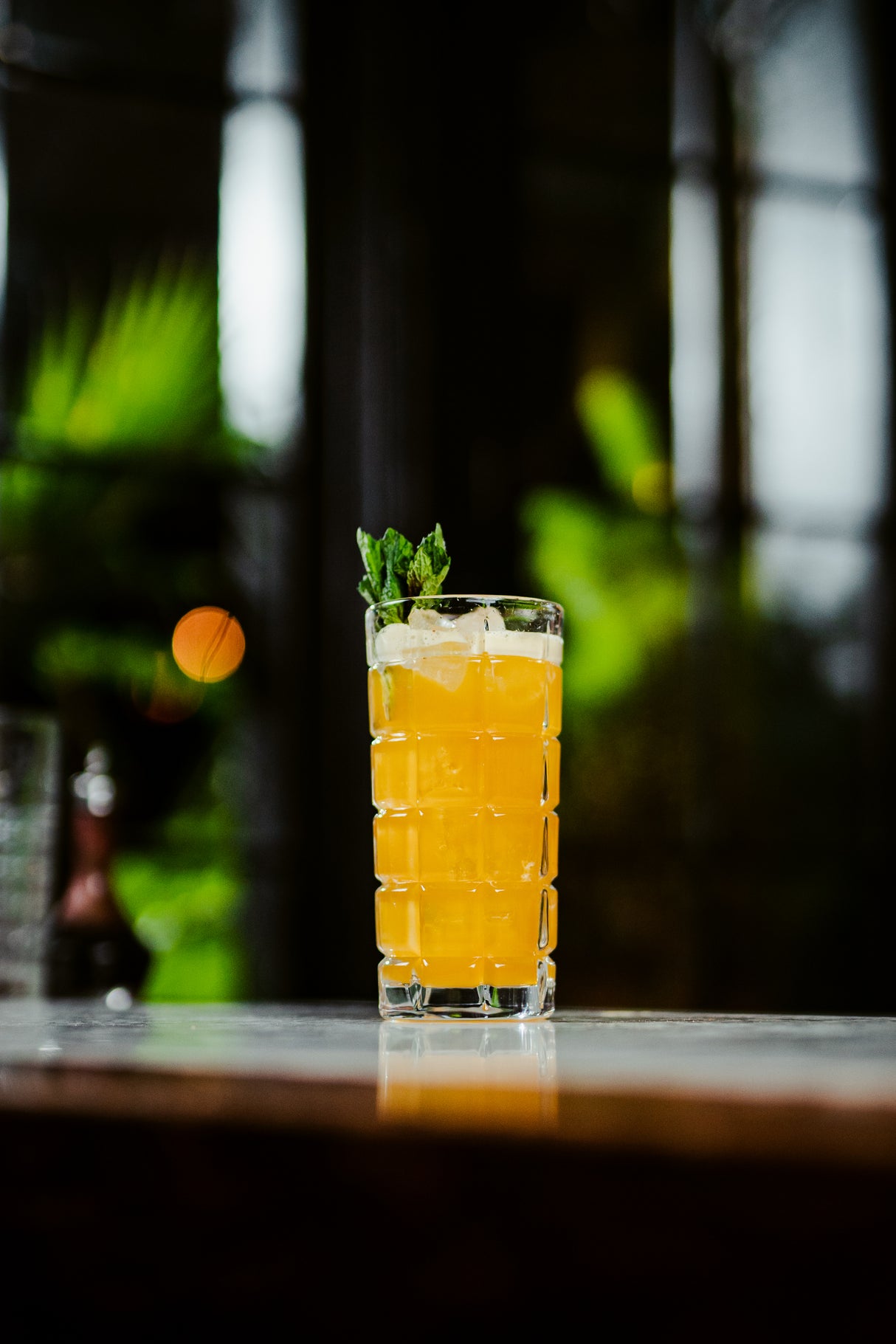 Decor 13.75 oz. Hi Ball