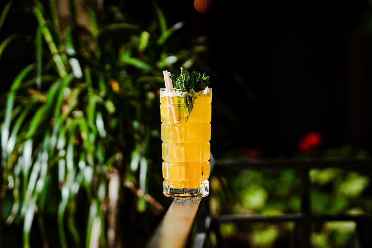 Decor 13.75 oz. Hi Ball