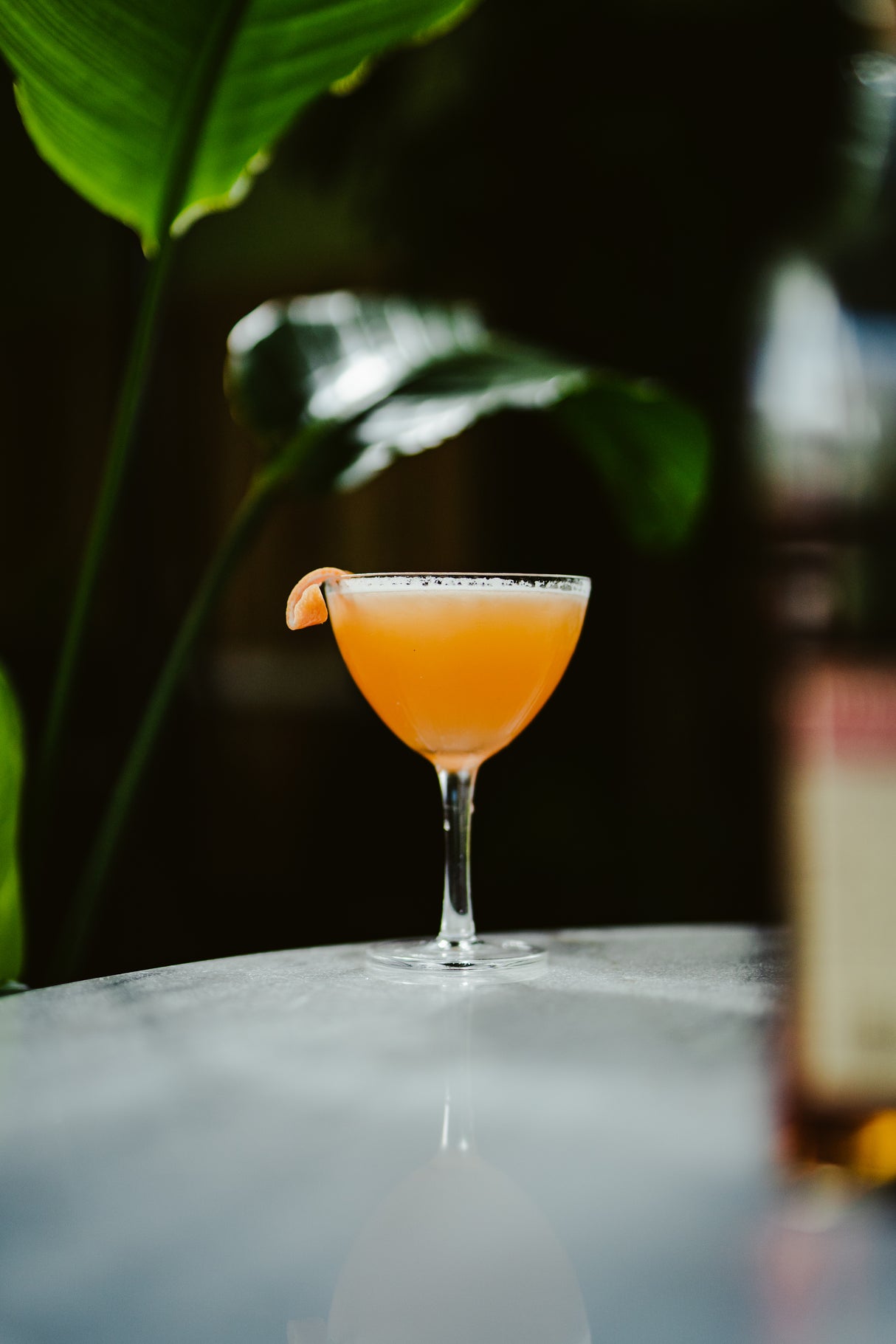 Hawthorne 8 oz. Craft Coupe