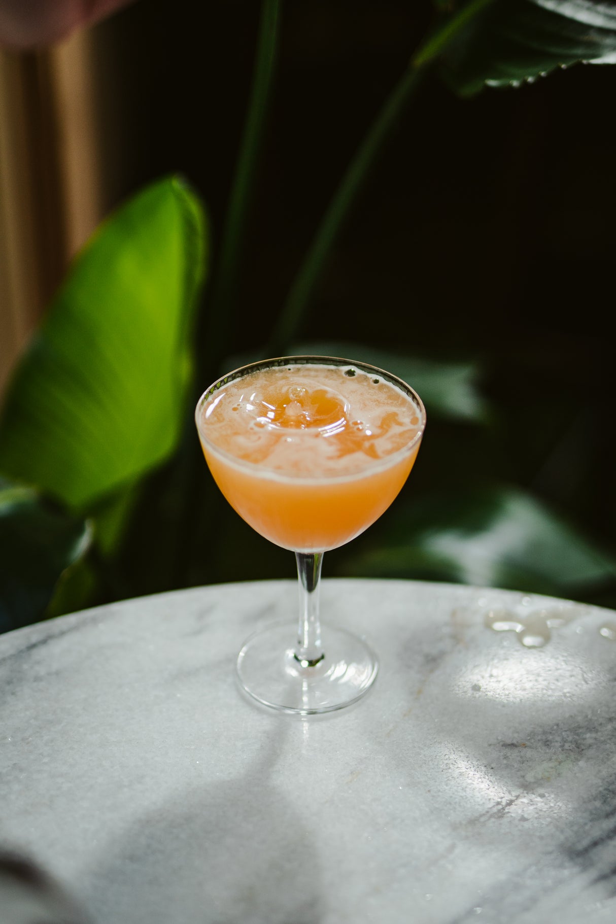 Hawthorne 8 oz. Craft Coupe