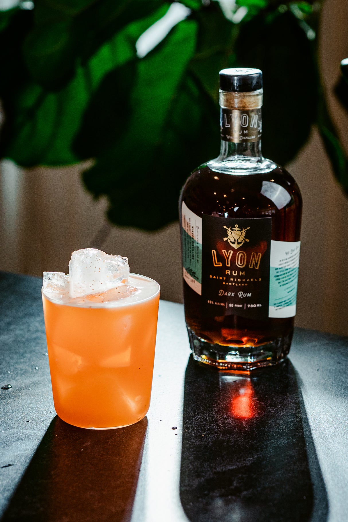 Muse 13.75 oz. Double Old Fashioned