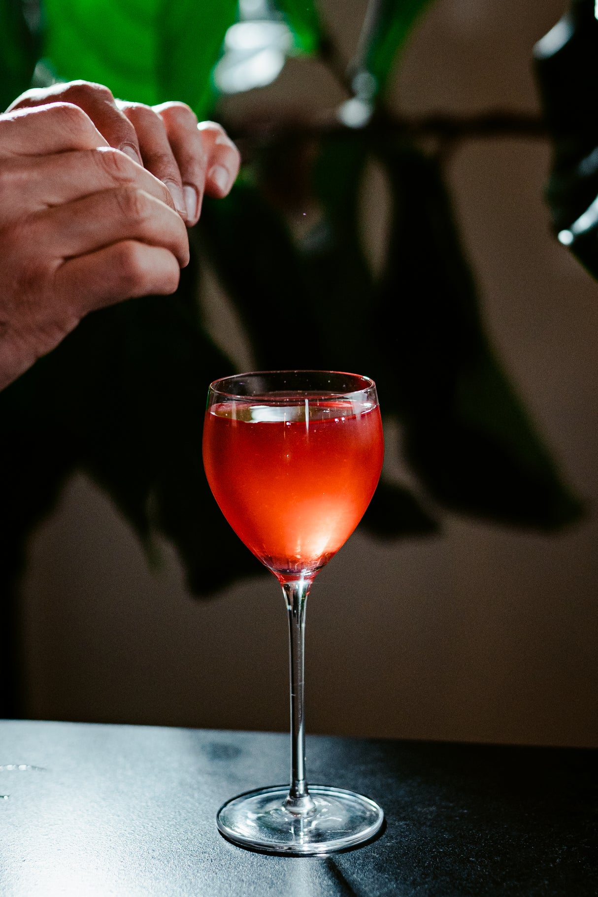 Soiree Petite 6.5 oz. Cocktail