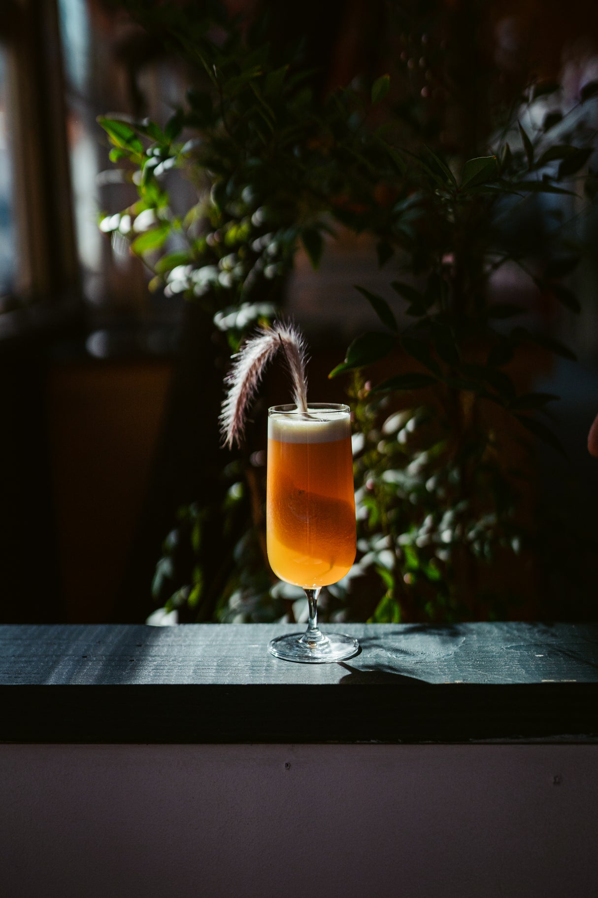 Noble 8.25 oz. Champagne