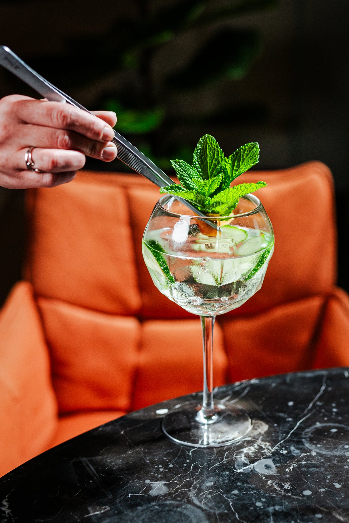 Altruist 19.5 oz. Gin & Tonic