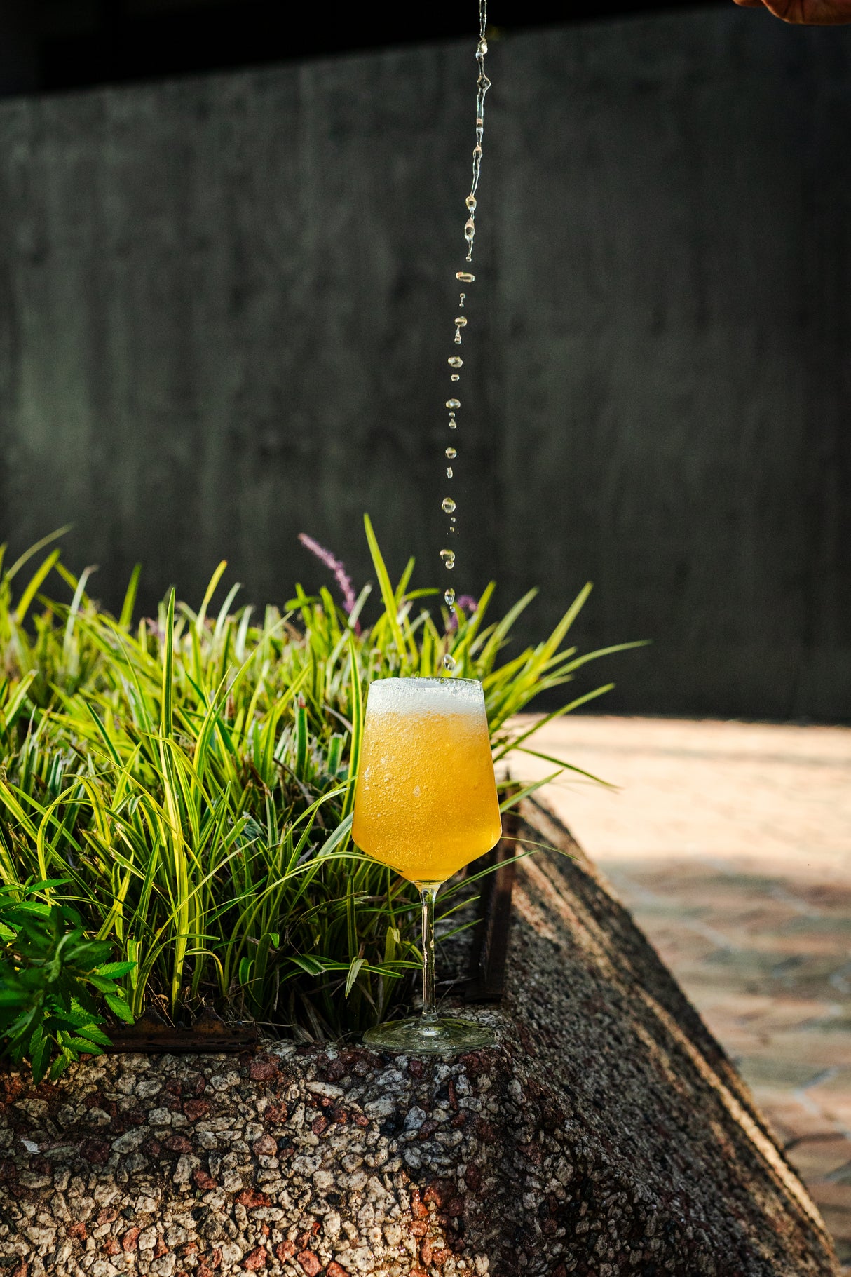 Ariana 19 oz. Red Wine