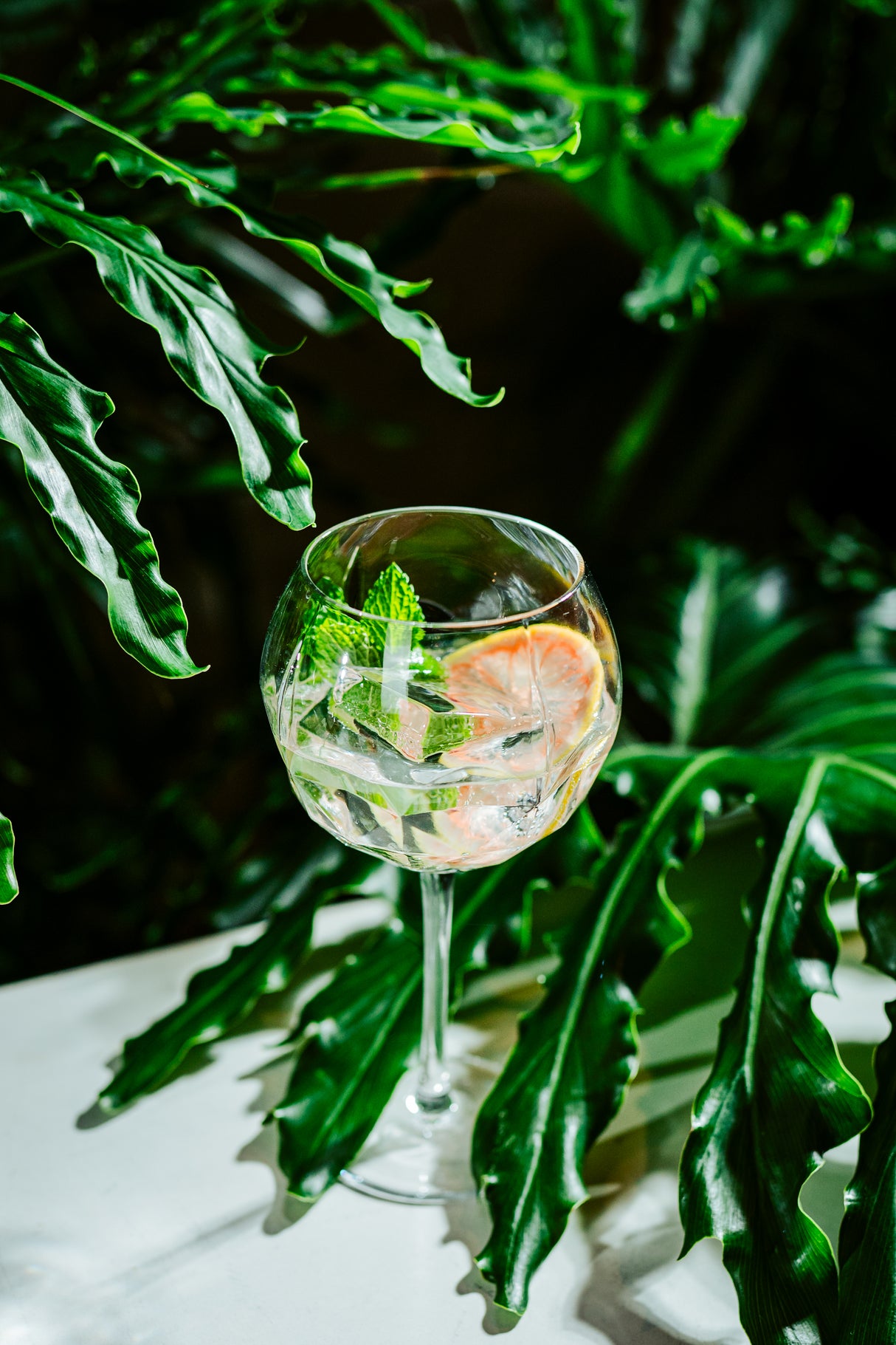 Altruist 19.5 oz. Gin & Tonic