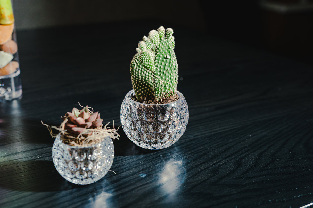 Ambience 3.25" Petite Vase / Votive