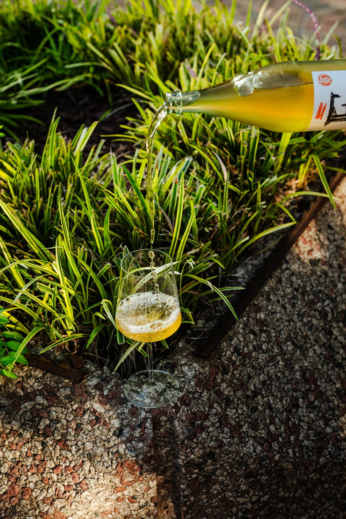 Ariana 19 oz. Red Wine