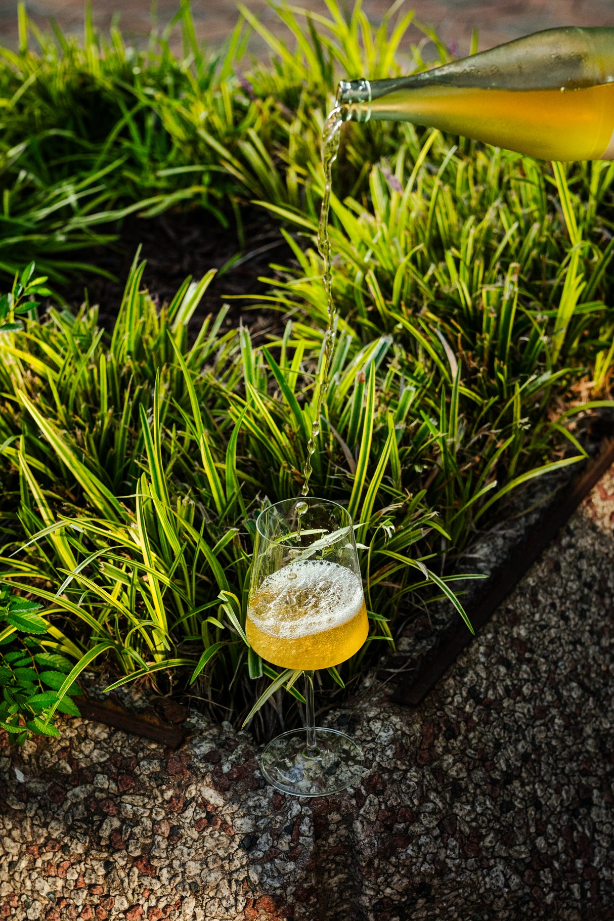 Ariana 19 oz. Red Wine