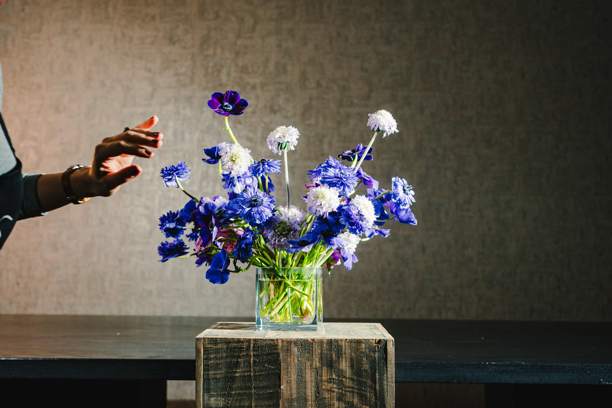 Botanical 4.75" Cube (40oz)