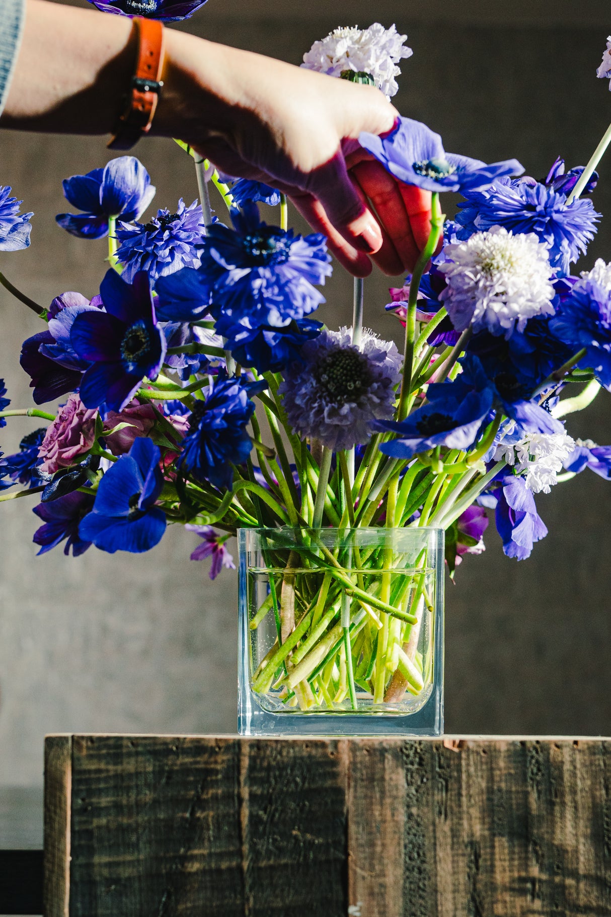 Botanical 4.75" Cube (40oz)