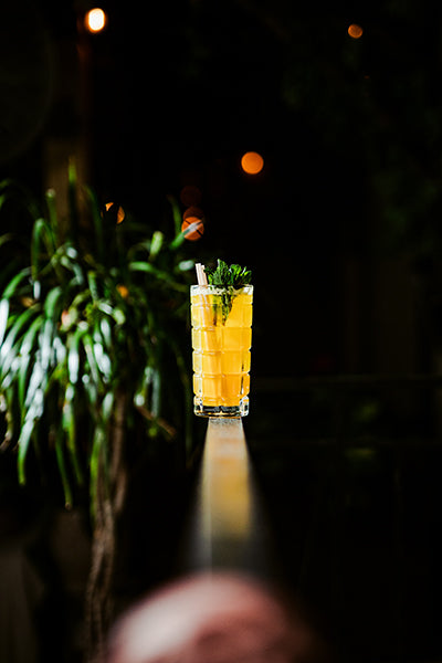 Decor 13.75 oz. Hi Ball