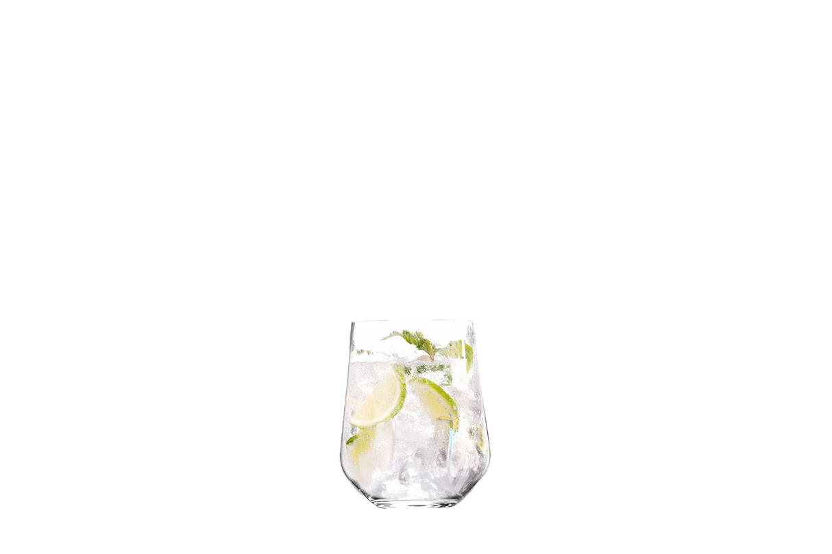 Ariana 24.5 oz. Stemless Gin & Tonic