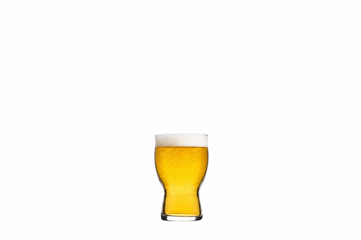 Revolution 13.5 oz. Beer