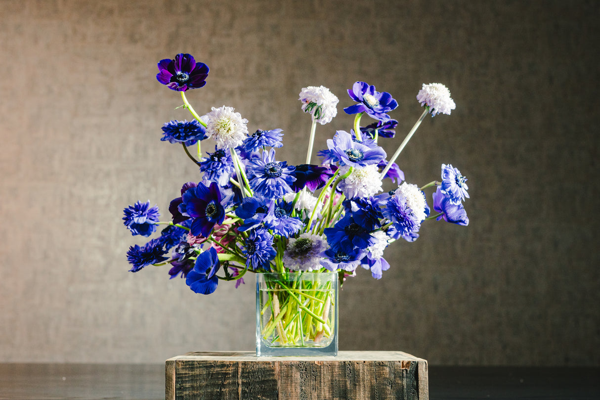 Botanical 4.75" Cube (40oz)