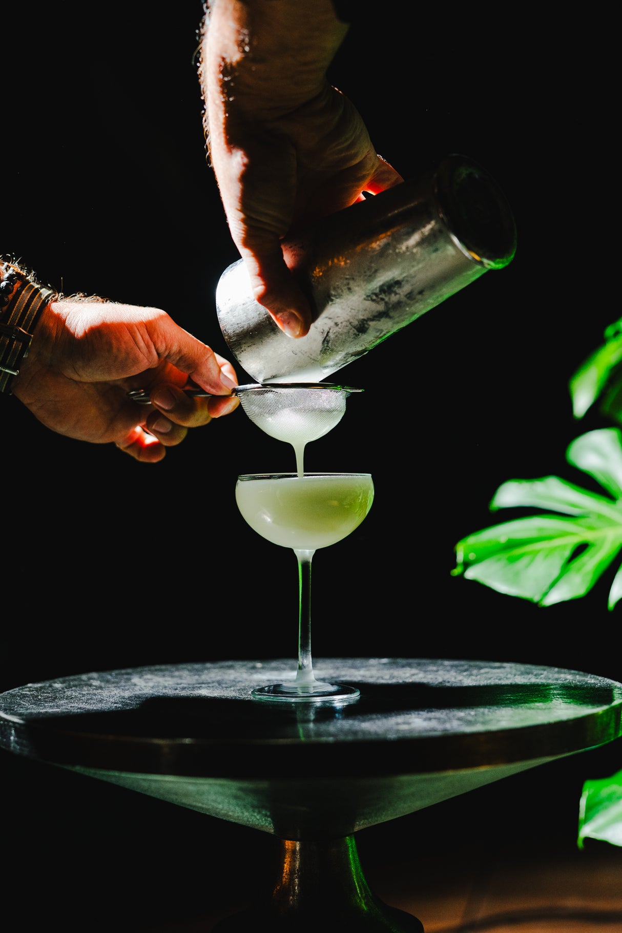 Koshu 5.75 oz. Coupe