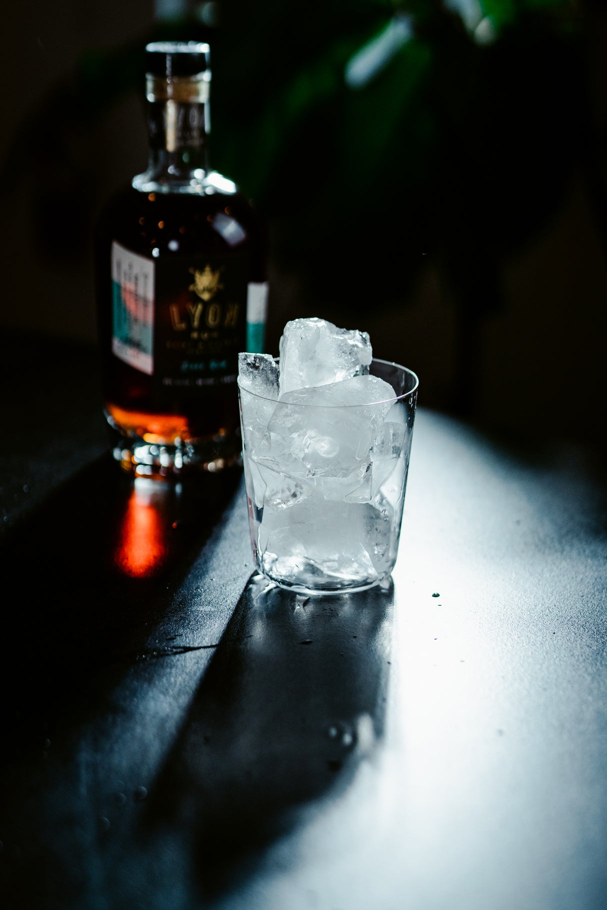 Muse 13.75 oz. Double Old Fashioned