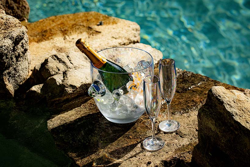 Paradise 68 oz. Ice Bucket