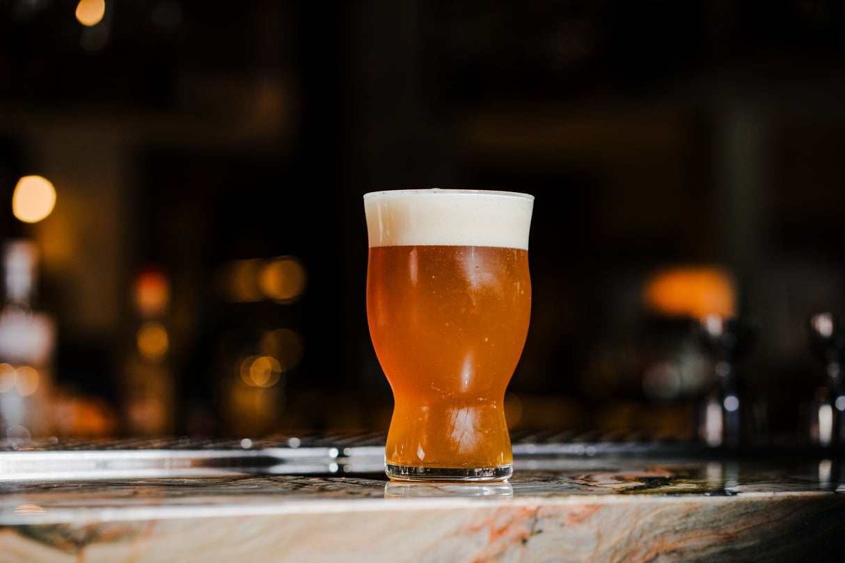 Revolution 16 oz. Beer