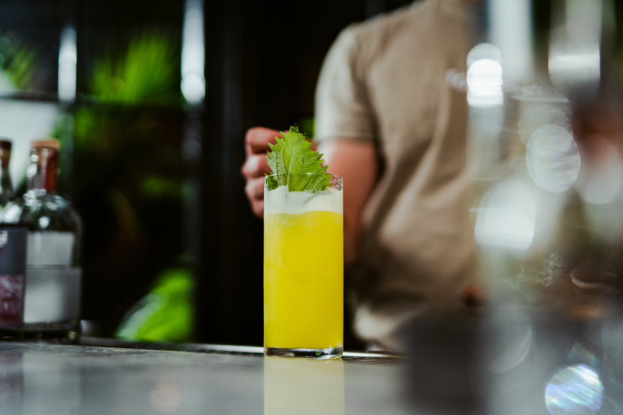 S-Line 12 oz. Hi Ball