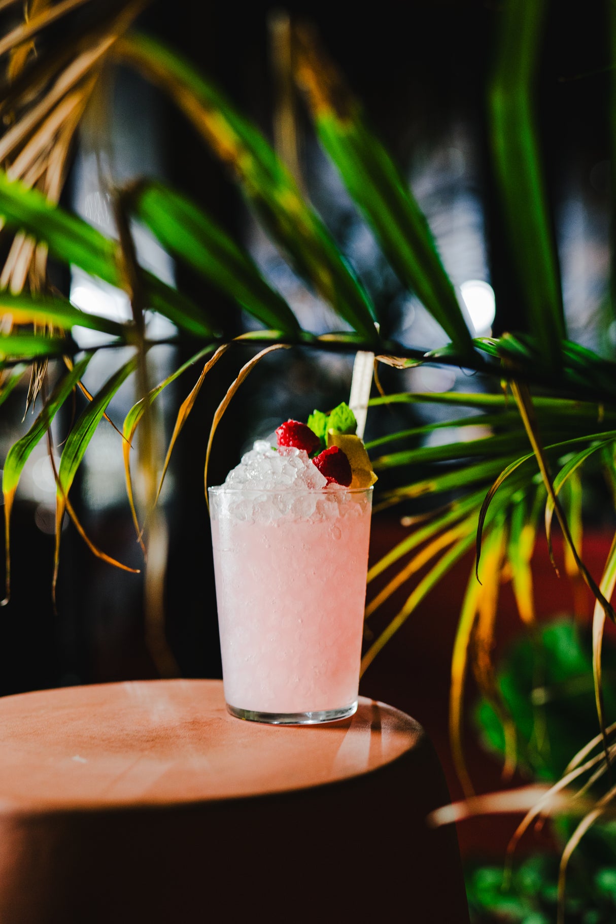 Sidera 17 oz. Tumbler