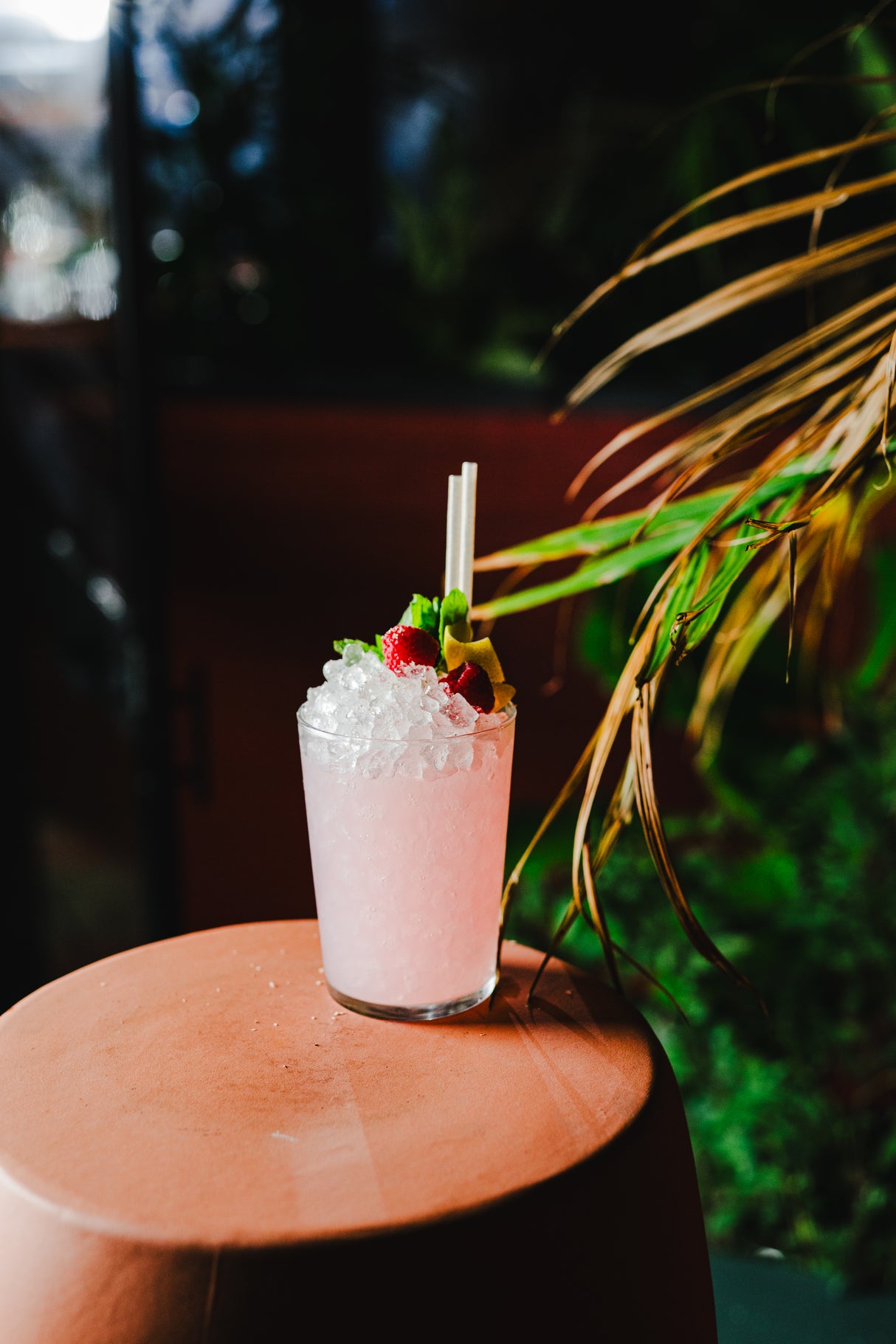 Sidera 17 oz. Tumbler