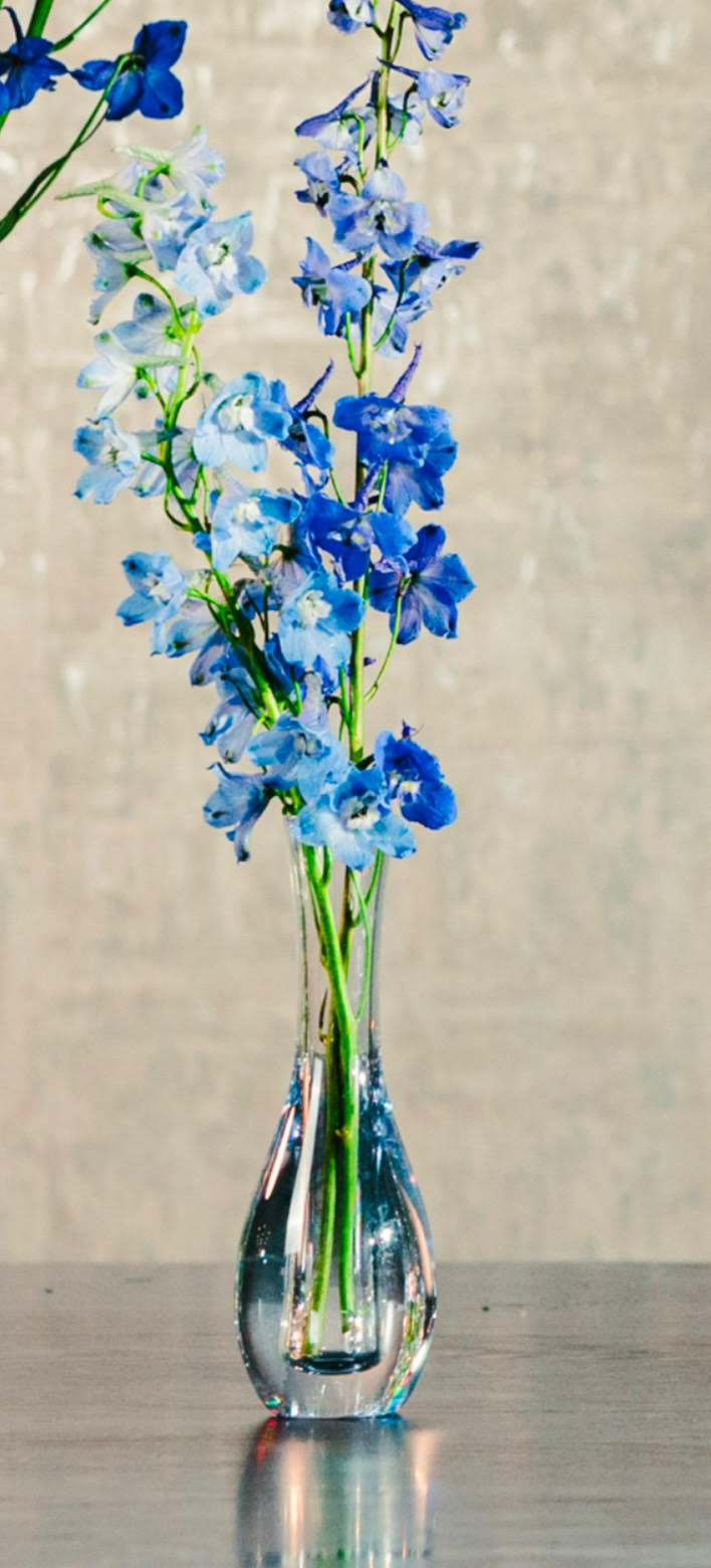 Oasis 6" Tulip Bud Vase