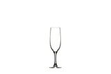 Syrah 5.75 oz. Champagne