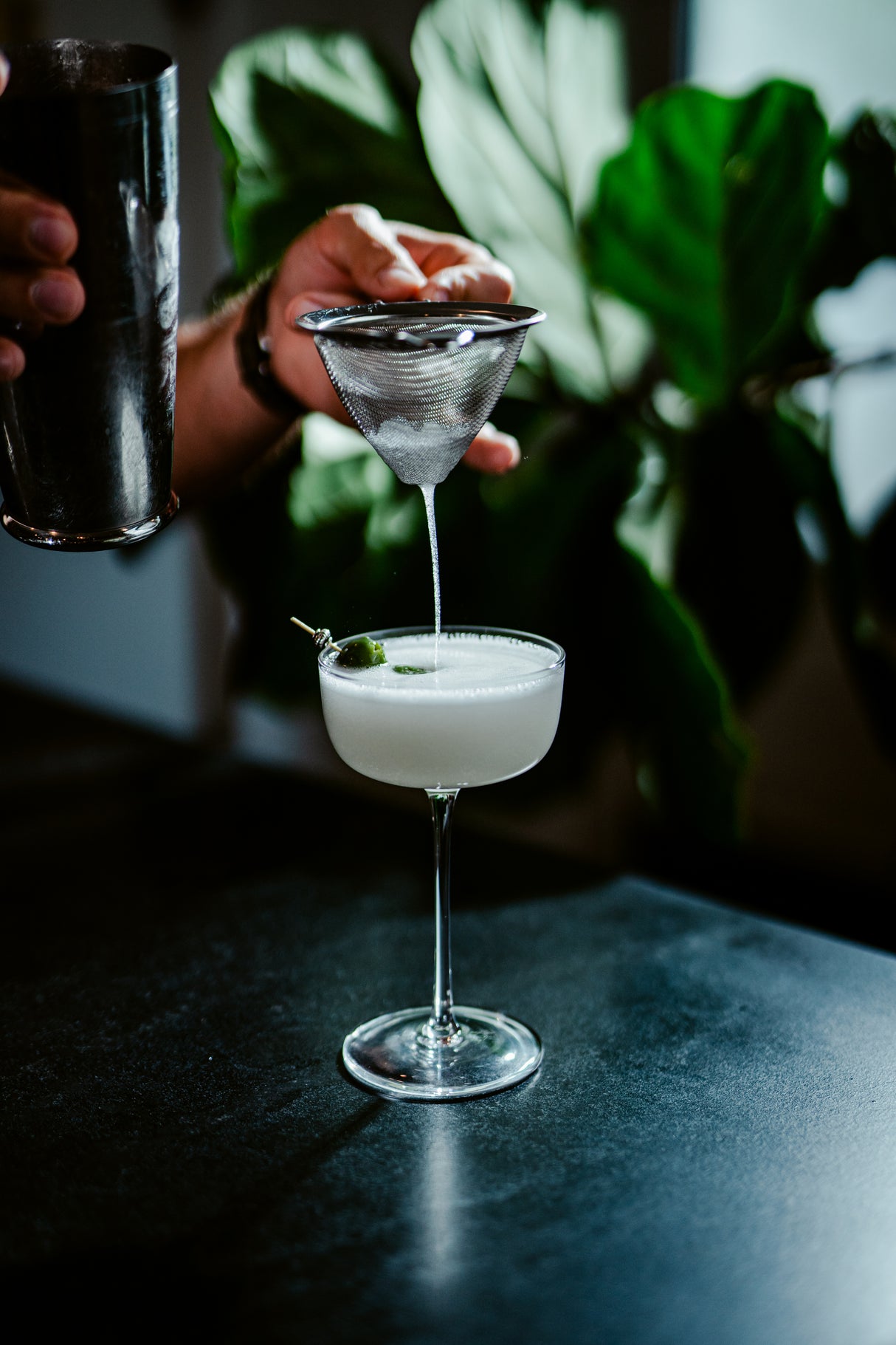Soiree 8 oz. Coupe