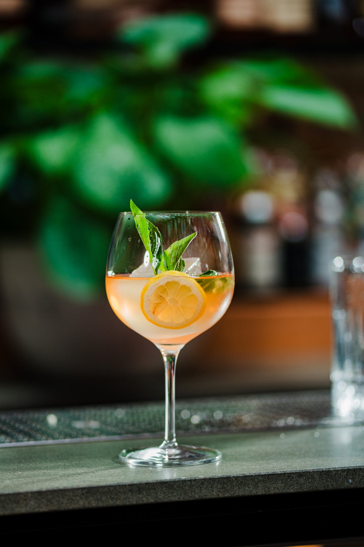 Euphoria 24 oz. Classic Gin & Tonic