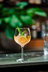 Euphoria 24 oz. Classic Gin & Tonic