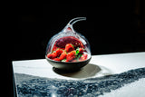 Contempo 8" Cloche