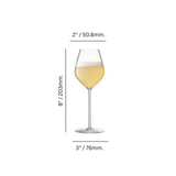 Borough 9.5 oz. Champagne
