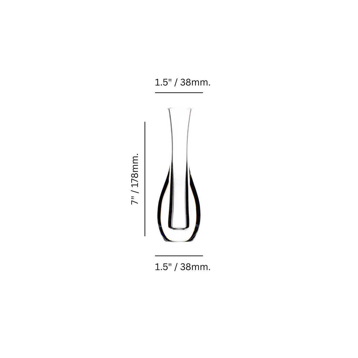 Oasis 7" Bud Vase