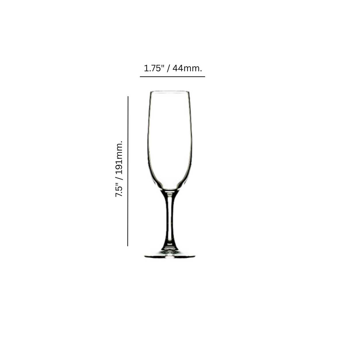 Syrah 5.75 oz. Champagne