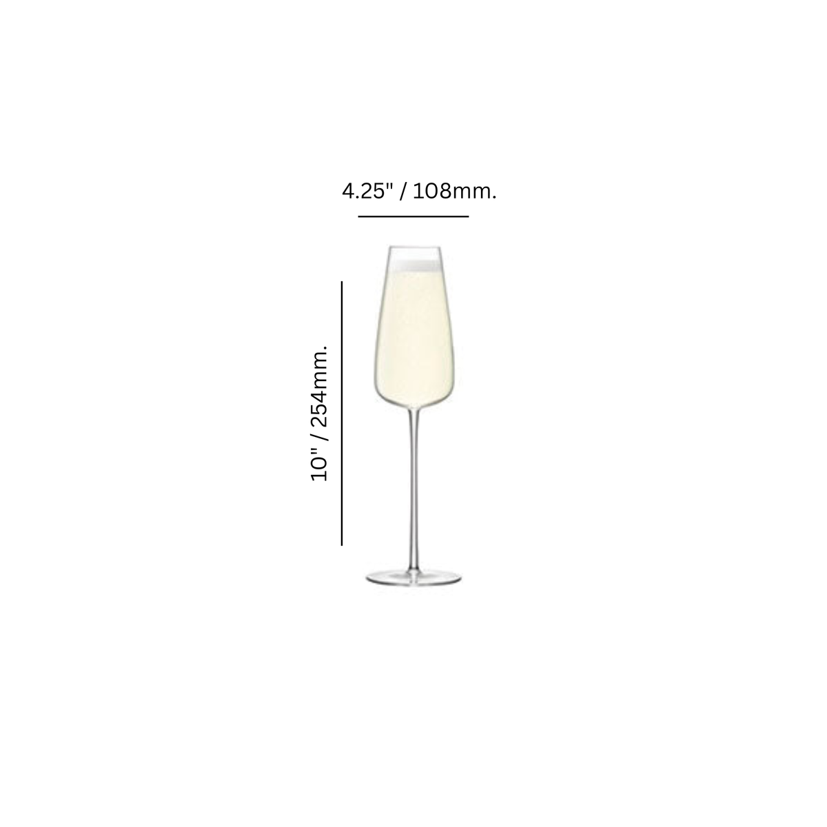 Culture 11 oz. Champagne Flute