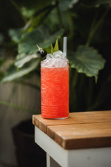 Fiji 17 oz. Hi Ball