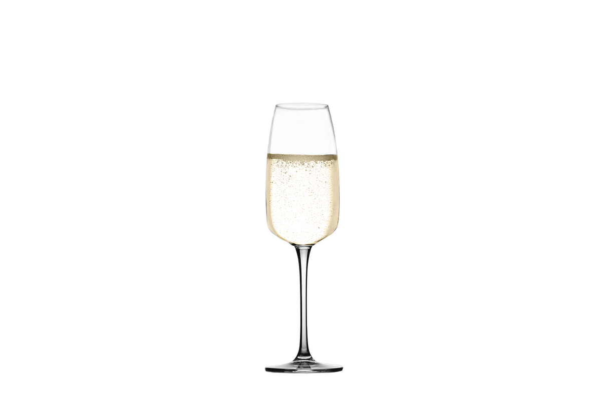 Lotus 10.5 oz. Champagne