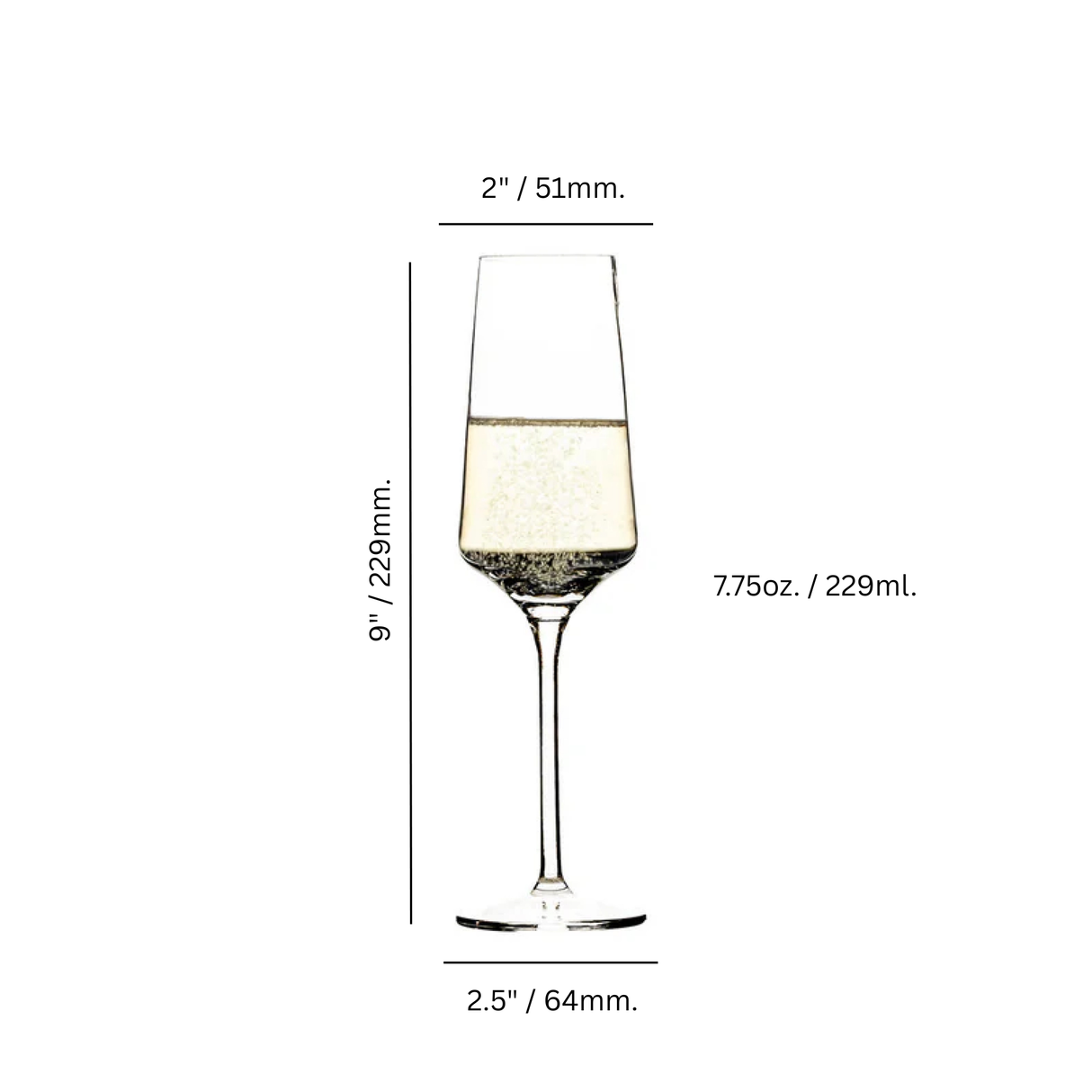 Ariana 7.75 oz. Champagne