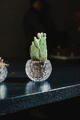Ambience 3.25" Petite Vase / Votive