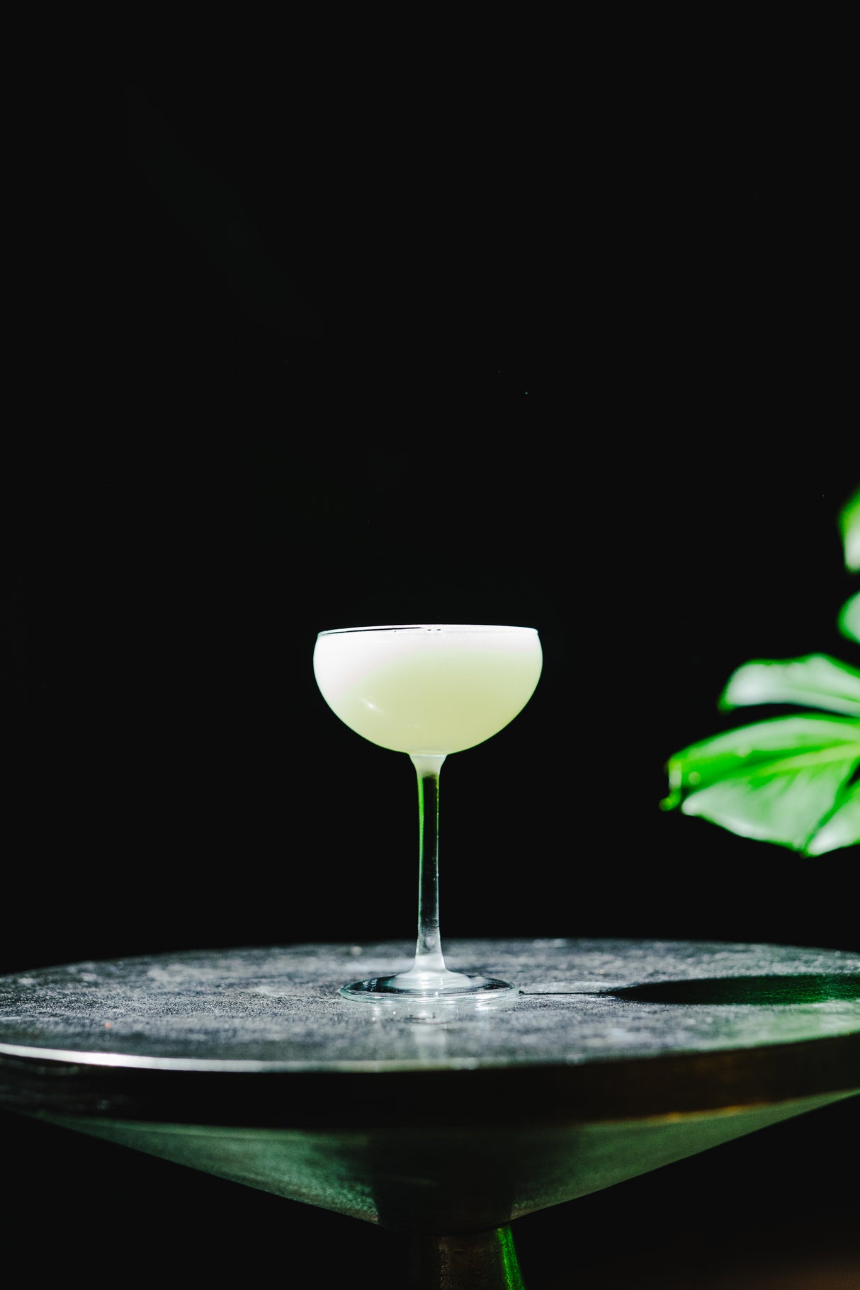 Koshu 5.75 oz. Coupe