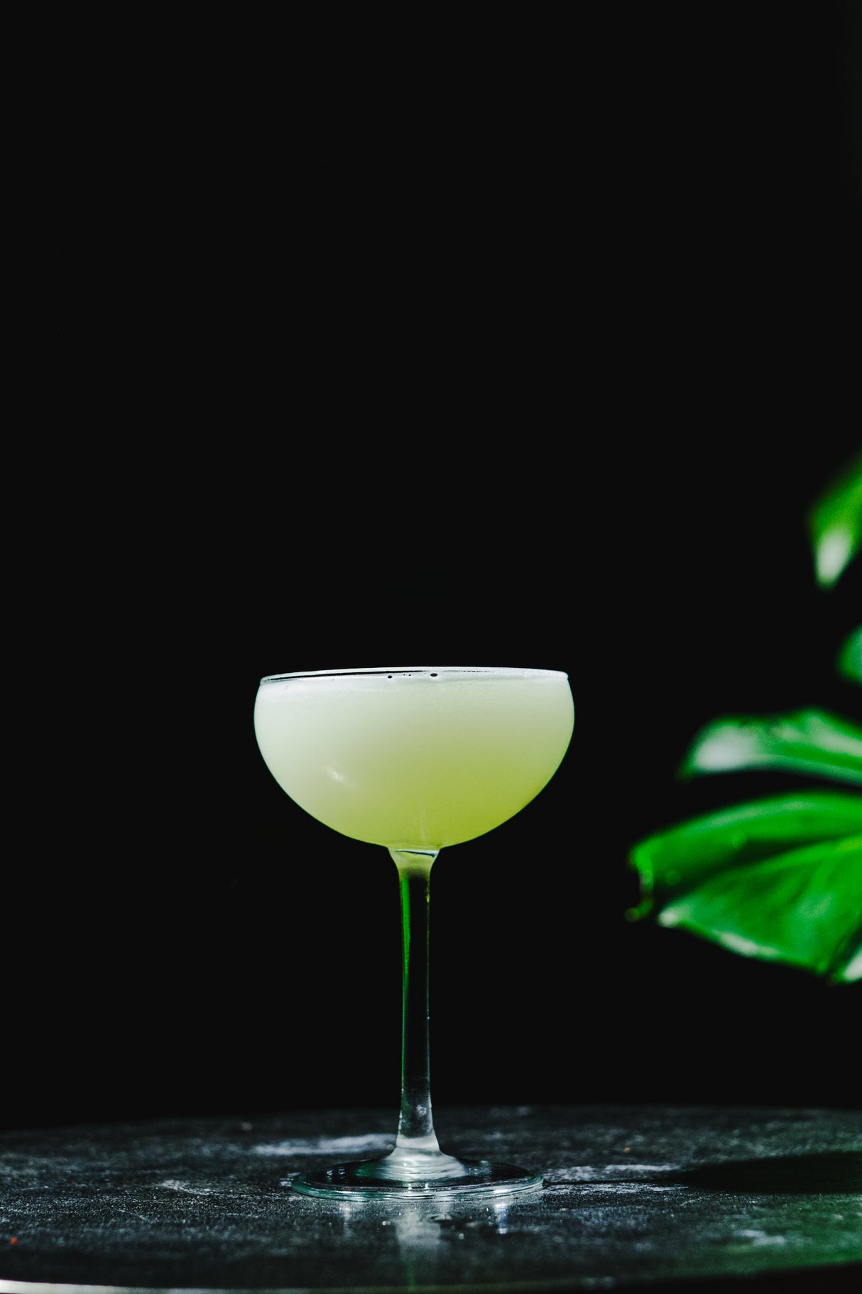 Koshu 5.75 oz. Coupe