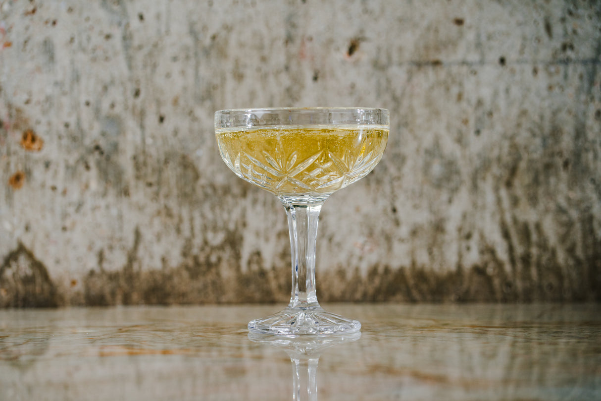 Majesty 8 oz. Coupe