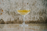 Majesty 8 oz. Coupe