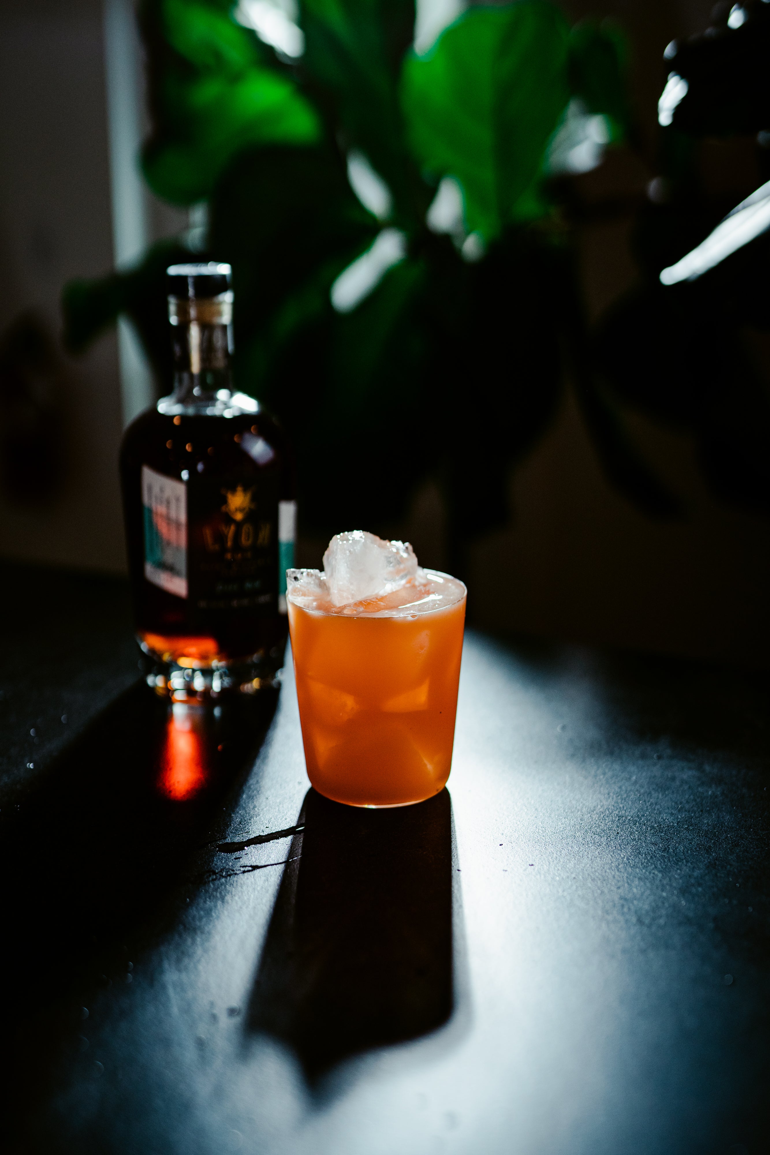 Muse 13.75 oz. Double Old Fashioned – Hospitality Brands