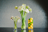 Tranquil 11.75" Vase