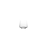 Indulge 13.5 oz. Tumbler